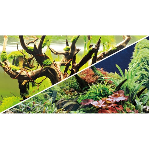Hobby taustakuva Green Secret / Wood Island